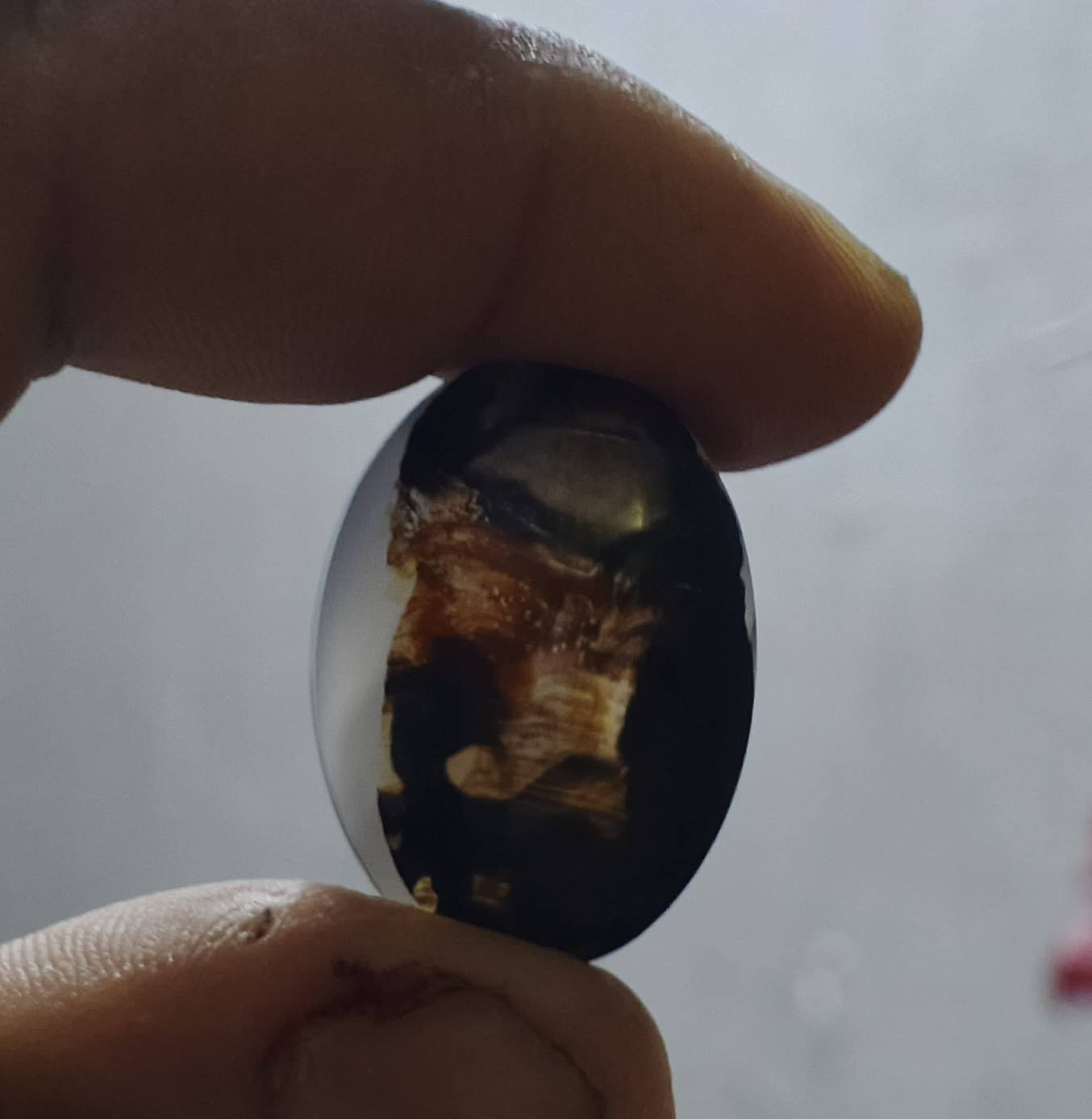 لعيون اعضاء الكروب الراقيين للاستفسار ***********
