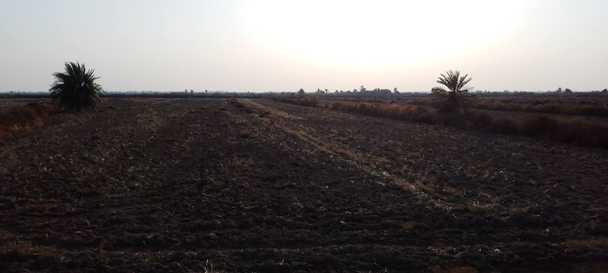 ارض زراعيه للبيع مكان ال عواد للتواصل ***********
