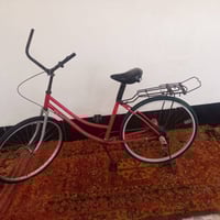 باسكل • نضيف • كربلاء طوريج