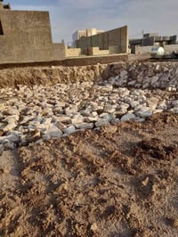 طابو زراعي • ٥٠٠م • قرب شارع ٦٠