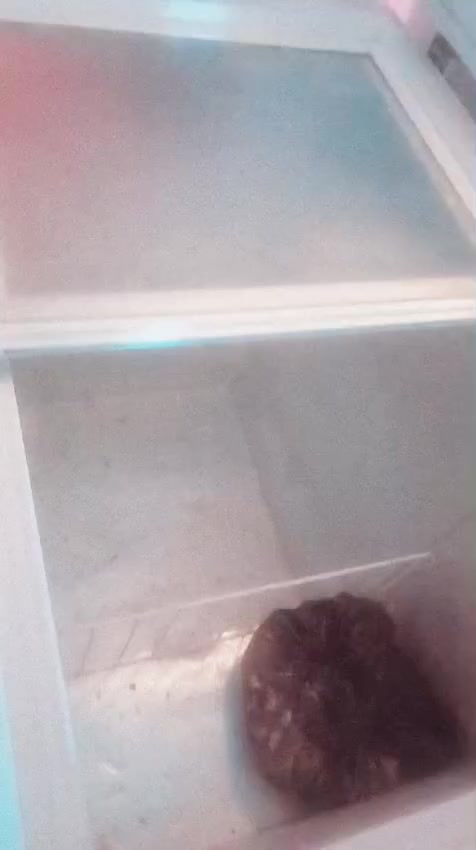 السلام عليكم مكلفه بنشر مجمده مستعملة للبيع ب160مكان حي النصر


**إذا كنت صاحب هذا الإعلان وتريد حذفه لأي سبب، رجاءا أرسل رسالة إلى الدعم الفني**