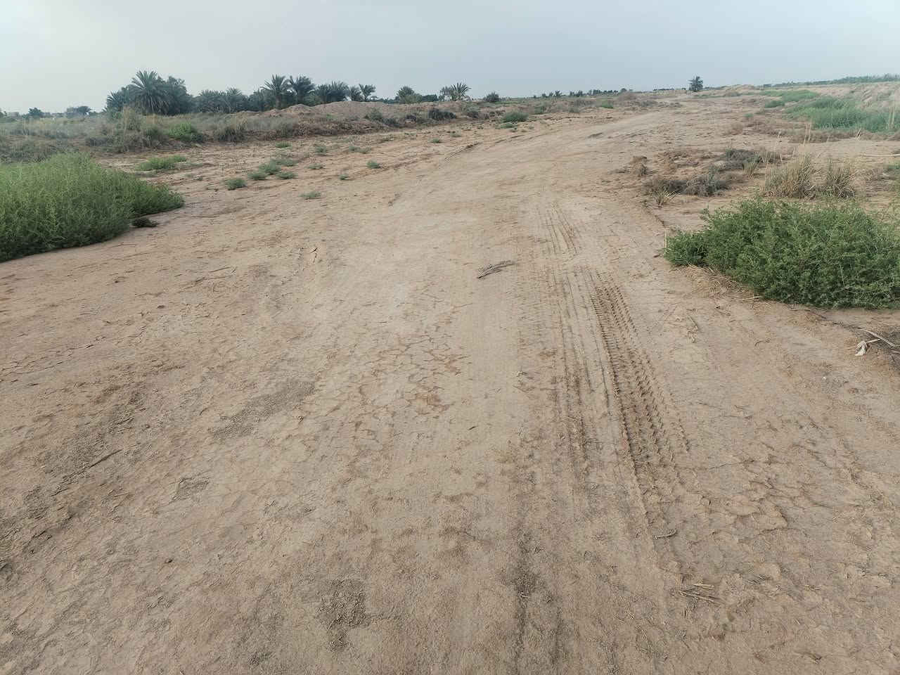 سلام عليكم أرض زراعيه للبيع مساحته الكليه 2470متر مربع مع شارع مشترك ليسئ ظمن المساحه المذكوره الأرض واجه 19متر ونزال 130متر تبعد عن شط الغراف 80متر في عشيره  ال عويد ال مطشر تبعد عن قظاء الغراف حوالي 900متر (الأرض ليسئ للزراعه فقط سكن)بيه قطعه مدفونه وجاهزه  السعر خاص 
***********

