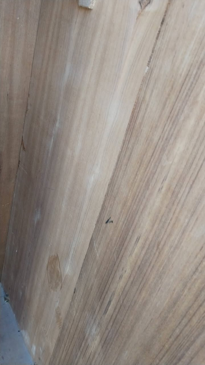 كنتور صاج حطاطه داخل وخارج... ٣ أبواب الضهر ضب براغي السعر ٢٠٠ وبيه مجال


**إذا كنت صاحب هذا الإعلان وتريد حذفه لأي سبب، رجاءا أرسل رسالة إلى الدعم الفني**