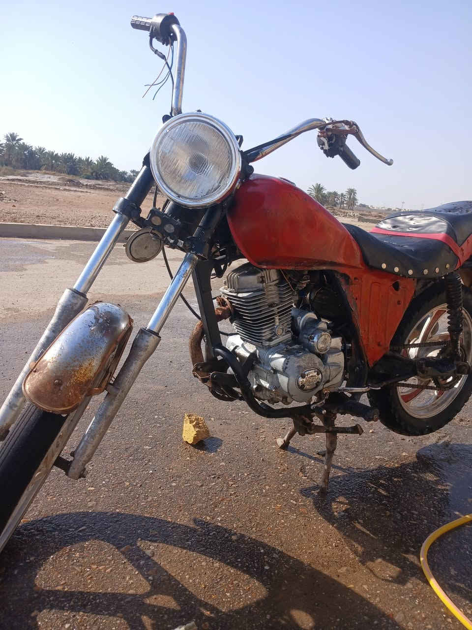 السلام عليكم فرخ هارلي للبيع عنوان ميسان العماره محرك جديد الاتصال. ***********
