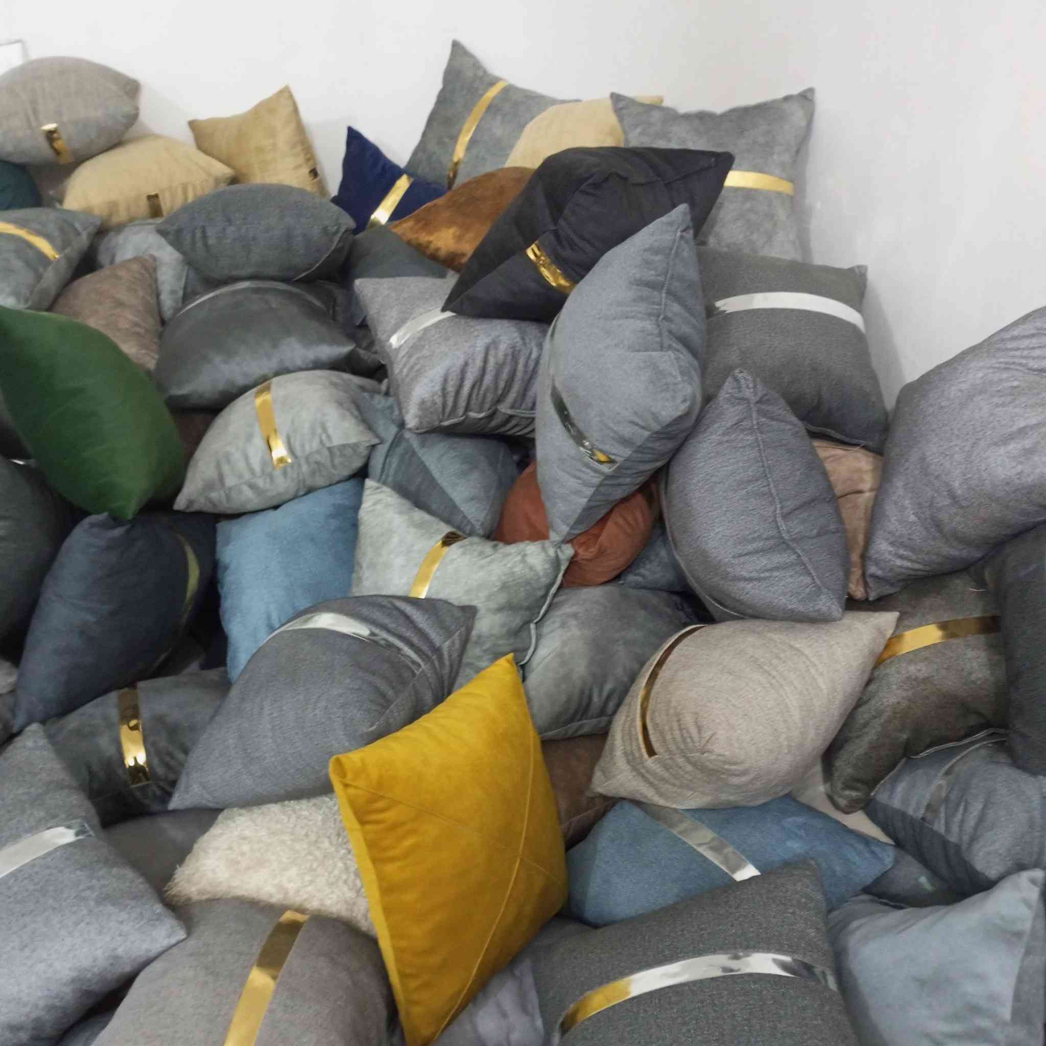 بلاش كوشات تخم سعر الواحده ١٢٥٠ ألف وربع بابل الحمزه الغربي حي الدولار قرب عماره دكتور ناجي أتصال ***********
