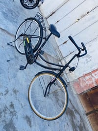 باسكل ٢٦ • ما بي شي • مكاني شهربان