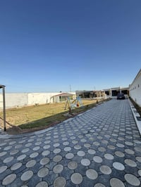 مزرعة ضي سومر للأيجار اليومي للأستفسار 07757728273