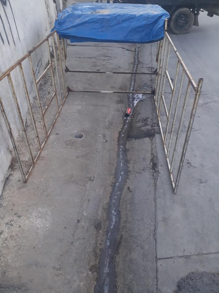 جنج سليماني للبيع سعره٣٠ الف/***********
