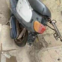 دراجه منغولي فحل للبيع الدراجه كلشي ما عوزه مفتوحه مره وحده وانه توني ...