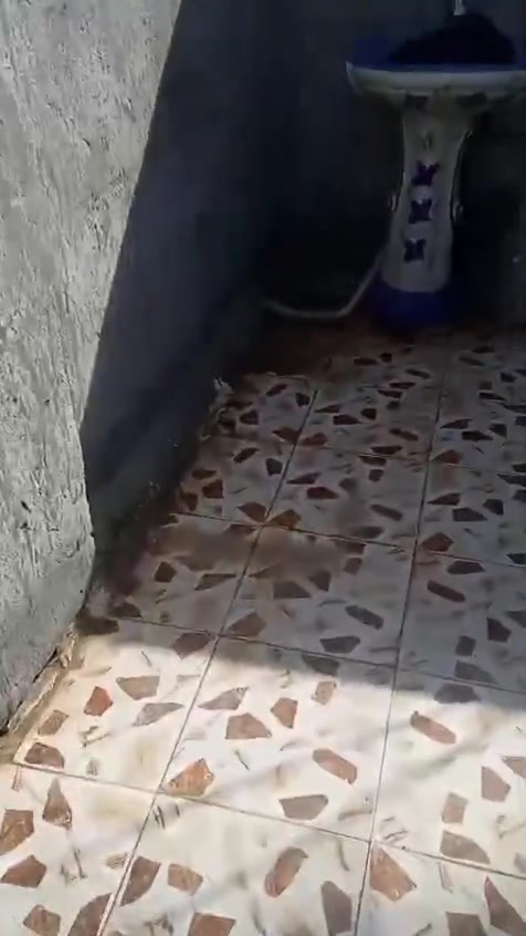سلام عليكم شباب بيت مساحه 110متر بناء جديد في منطقه ابو خستاوي شارع الغسل بيت كلش حلو ومرتب سعر 50 وبي مجال للطيبين للإستفسار على رقم ***********
