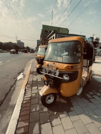 تكتك 2021 • مصبوغة • أوراق