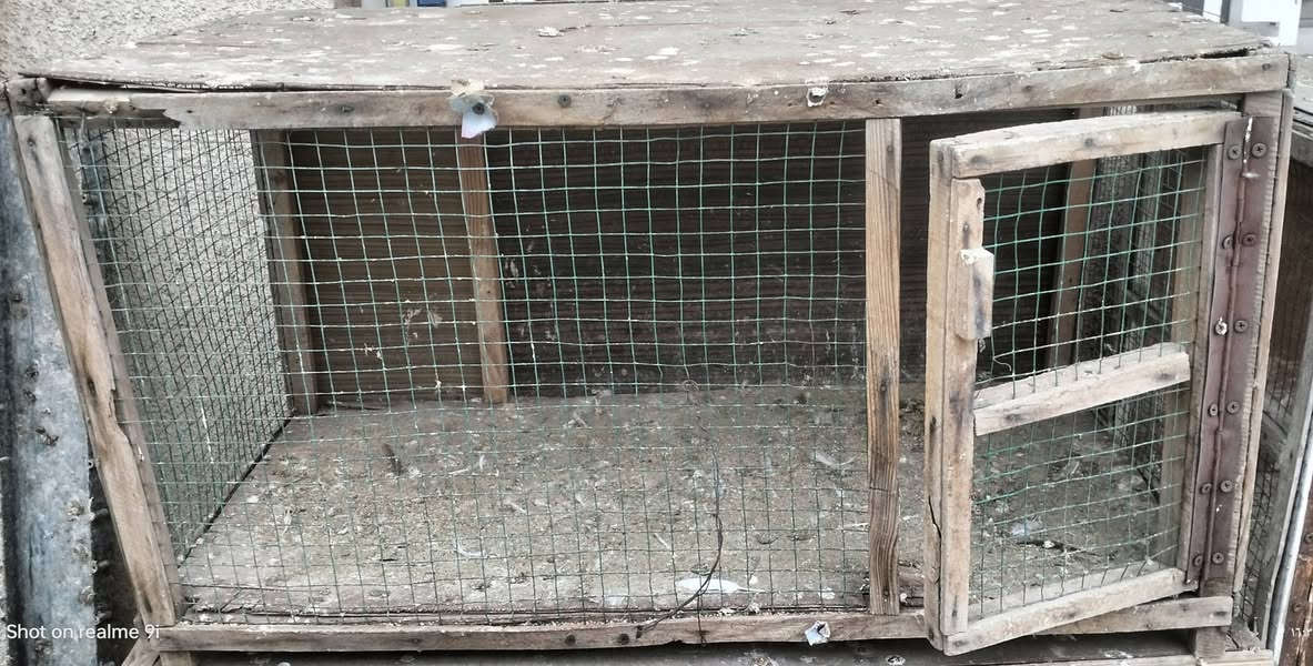 سلام عليكم من رخصت مدير الكروب ٣ خانات قيم واخذ مكاني بغداد دوره


**إذا كنت صاحب هذا الإعلان وتريد حذفه لأي سبب، رجاءا أرسل رسالة إلى الدعم الفني**