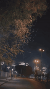 سلام عليكم ماكس عدله للبيع دراجه كلش كلش كلش نضيفه بوشه 55 بيه تزويد صالنصه كاربون قبق فلاوين TWPO ويل نجمه ذهبي فلنجه رياضي اصليه تايوان تايرات زوج جدد الله شاهد دراجه نقصه بس باتري سعره 10 الاف والي ييجي يكلي وليش متشده اذا ب10 الاف اني دراجه خاله اروح واجي بيه للشغل ومالحك مكاني بغداد الكاضميه سعر 575 وبيه مجال رقم هاتف ***********
