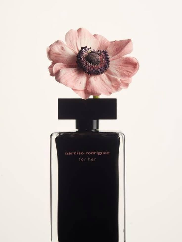 عطر نارسيسو رودريغيز فور هير (Narciso Rodriguez for Her) بتركيز Eau de Parfum هو تجسيد حقيقي للأناقة الغامضة والأنوثة الطاغية ✨. ينتمي هذا العطر الأيقوني إلى عائلة العطور الزهرية، الخشبية، والمسكية، ليمنحكِ حضوراً ساحراً لا يُنسى 💖.
إليكِ رحلة هذا العطر الساحر ونوتاته العطرية:
🌸 الهرم العطري والـمكونات
 المقدمة (إفتتاحية العطر): ✨
تبدأ الرحلة بنسمات رقيقة ومخملية تجمع بين نعومة الورد وجاذبية لب الخوخ اللذيذ، لتعطيكِ إحساساً فورياً بالانتعاش والنعومة.
 القلب (جوهر العطر): 🧲
ينبض قلب العطر بـ المسك الفاخر الذي تشتهر به علامة نارسيسو، ممتزجاً بلمسات دافئة من العنبر الناعم، وهو السر وراء جاذبية العطر التي تخطف الأنفاس.
 القاعدة (ثبات العطر): 🪵
تستقر الرائحة على قاعدة غنية ودافئة من خشب الصندل وعمق الباتشولي، مما يمنح العطر ثباتاً ممتازاً وعمقاً يفيض بالدفء والغموض.


**إذا كنت صاحب هذا الإعلان وتريد حذفه لأي سبب، رجاءا أرسل رسالة إلى الدعم الفني**