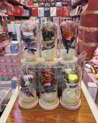 هدايا • عيد المعلم • حي البكرلي