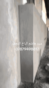سيد هاشم الباخ النجف ***********
