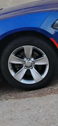 تخم ويل وتخم تاير اس كس تي بلادي لا عواج ولا لحيم شرط شعندك مراوس نزل ...