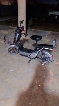 دراجة شحن • حجم ١٤ • كفالة عامة