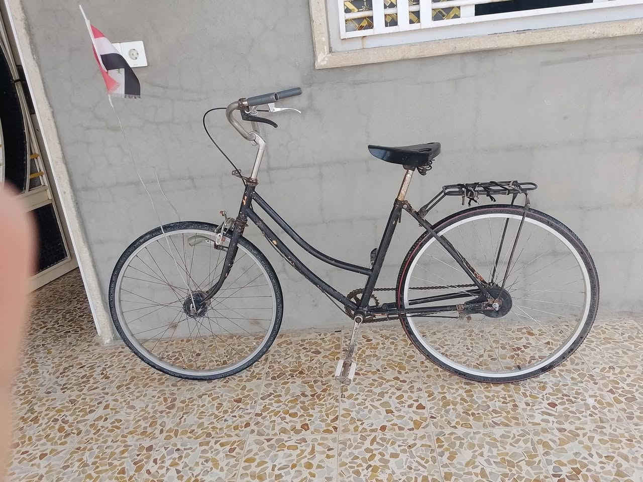السلام عليكم بايسكل للبيع السعر 55 ويب مجال


**إذا كنت صاحب هذا الإعلان وتريد حذفه لأي سبب، رجاءا أرسل رسالة إلى الدعم الفني**