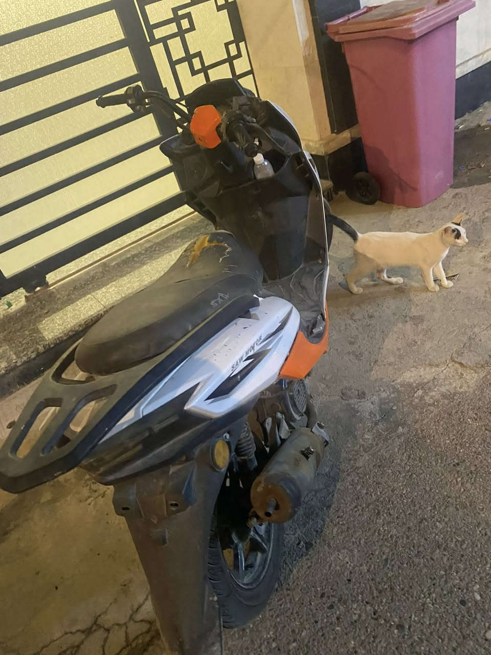 دراجه صيني مجفته مره وحده دراجه خير من الله بس نقصها بس كابريتر  كلشي كامل بيها  سعر 350وبيها مجال قليل


**إذا كنت صاحب هذا الإعلان وتريد حذفه لأي سبب، رجاءا أرسل رسالة إلى الدعم الفني**