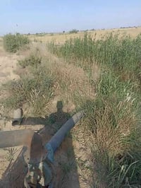 ارض زراعية • ٣٥ دونم • الرفاعي المريبيع