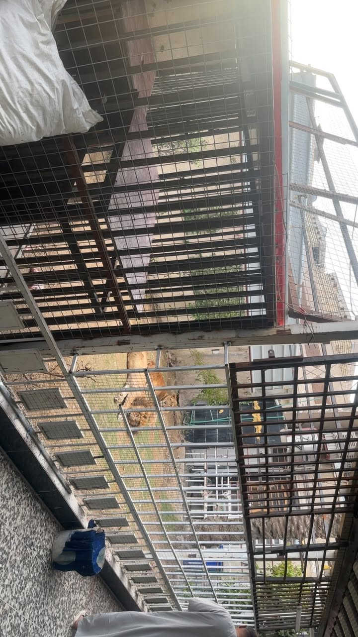 دار للبيع مساحه 290 متر
الدوره شارع الرواد

استقبال كبير ومطبخ 

وحولي كبير وغرفه نوم

وخدمات

وحديقه كبيره

الطابق الثاني 

3غرف نوم 

وخدمات

البيت بناء حديث

طابو صرف

البيت بي منظومه طاقه شمسيه45 امبير

للأستفسار الاتصال

***********
