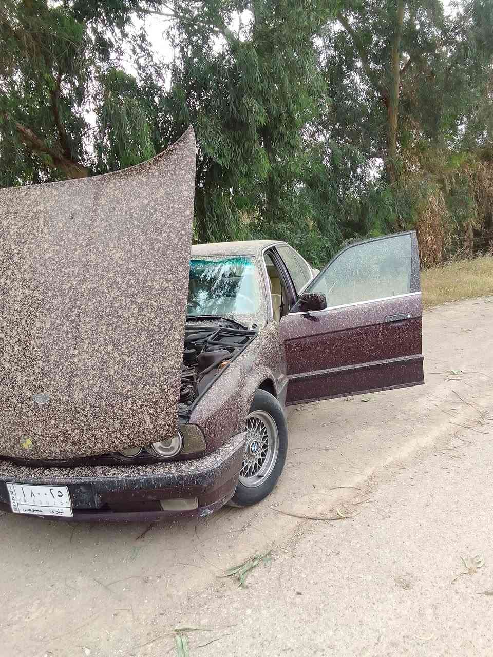 السلام وعليكم سيارة نوع BMW حجم 520 محرك كبس 6سلندر كير اتوماتيك تبريد ثلج محرك شرط كير كذالك رقم نينوى شرط التحويل الشرعي موجود بل مثنى موديل السيارة 93 سيارة شرط تراي 200 بطاقة بانزين موجودة #السعر 60 ورقة ملاحظة بدون مراوس بدون أقساط


**إذا كنت صاحب هذا الإعلان وتريد حذفه لأي سبب، رجاءا أرسل رسالة إلى الدعم الفني**