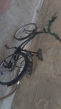 باسكل • حجم ٢٦ • حي المامون