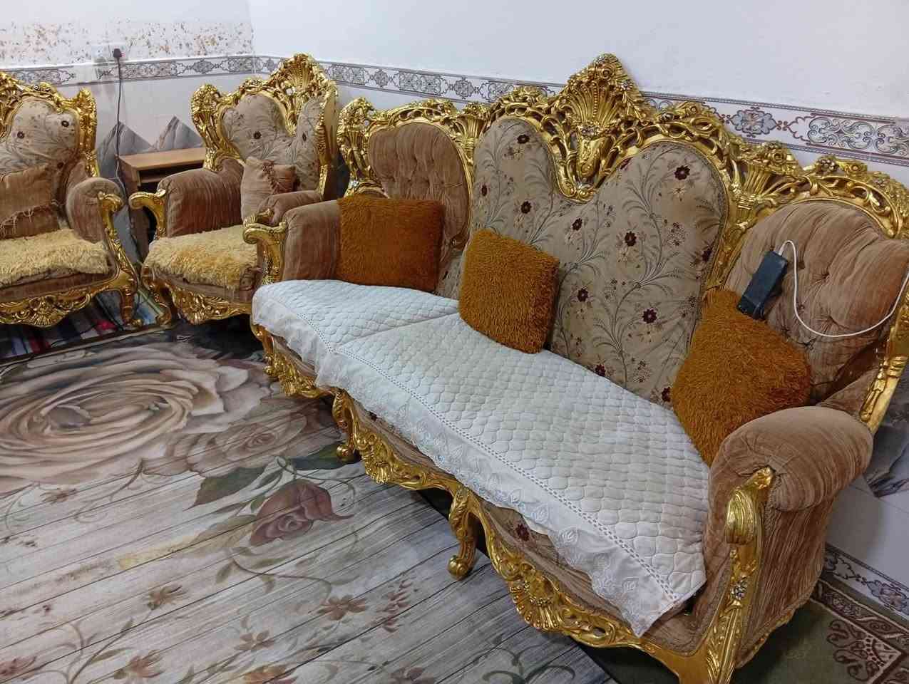 بيع مستعجل  تخم قنفات زان مصري السعر ٦٥٠ لي استفسار  ***********
