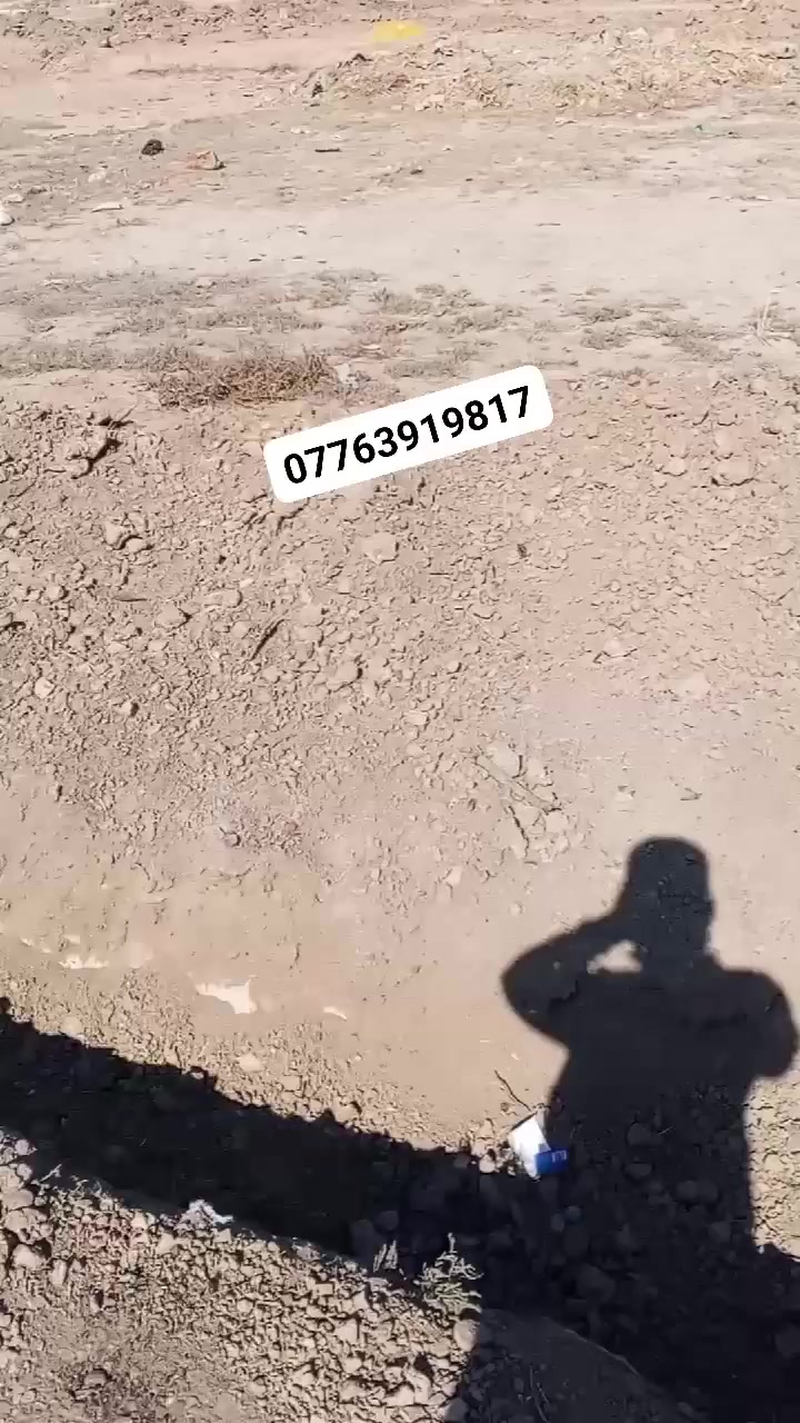 السلام عليكم 
ارض 100م. 
للاستفسار ***********
