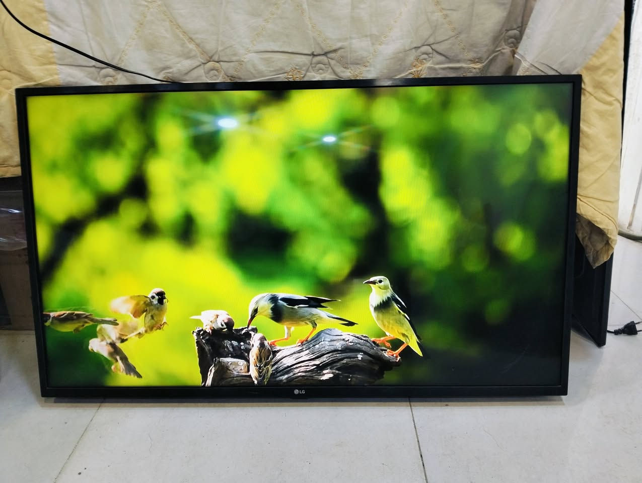 شاشه حجم 43 الجي اصلي مع ريمونت ناطق وموس فلو موصفات مع ضمان كفاله


**إذا كنت صاحب هذا الإعلان وتريد حذفه لأي سبب، رجاءا أرسل رسالة إلى الدعم الفني**