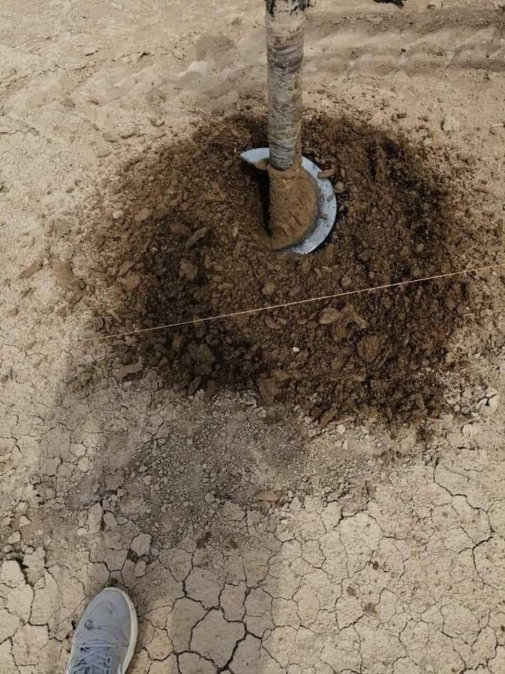 🏗️ خدماتنا المميزة:
✔️ تشكيلة واسعة من أسيجة الـBRC بأنواعها المختلفة: جادر وبدون جادر.
✔️ سياج عشبي مميز لتلبية جميع احتياجاتكم.

🌿 تعاون مع دوائر الدولة والمتنزهات:
مستعدون لتنفيذ جميع المشاريع بكفاءة عالية.

💵 أسعار تنافسية ومغرية:
تبدأ الأسعار من 5,000 دينار وتصل إلى 15,000 دينار حسب نوع السيم والمواصفات المطلوبة.

⏰ خدمة متوفرة 24/7:
فريقنا جاهز لخدمتكم في أي وقت.

👷‍♂️ خبرة ومهنية عالية:
نعمل بفريق متخصص لضمان جودة فائقة.

🚚 خدمة شاملة في جميع محافظات العراق:
نصل إليكم أينما كنتم لتلبية طلباتكم.

للحجز او الاستفسار راسلنا من الزر اسفل المنشور او على الارقام 

📱 ⁨***********☎️
📱 ***********واتساب
