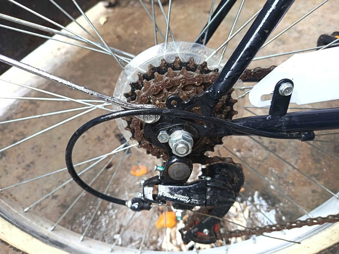 سلام عليكم بيسكل بناتي للبيع السعر150 وبي مجال البيسكل نضيف وجديد مابي نقص و يجي بي عكرب 7سرع و سيبايه مالته منه وبي التاير مالته نوعه عريض يتحمل اوزان البيسكل كلش خفيف


**إذا كنت صاحب هذا الإعلان وتريد حذفه لأي سبب، رجاءا أرسل رسالة إلى الدعم الفني**