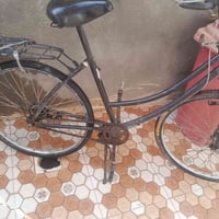 باسكلت • قرب الاخوين • تواصل خاص