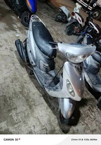 للبيع 🪶 سلام عليكم منغولي للبيع بلادية شلعه ومعدل فول سعر 600 لشراي ير...