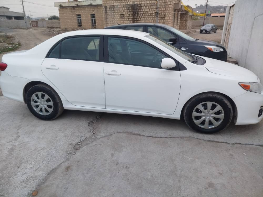 بێ سبخ تەنها دوو شوێنی بجووک کارتە اكر, نينوى


**إذا كنت صاحب هذا الإعلان وتريد حذفه لأي سبب، رجاءا أرسل رسالة إلى الدعم الفني**