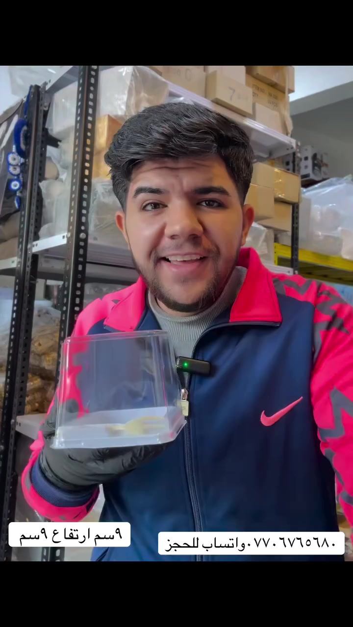 شارع النجمه مجاور مخللات بيت ميره وبركَر ستيشن مقابل مدرسه حلب مجاور مصرف الطيف


**إذا كنت صاحب هذا الإعلان وتريد حذفه لأي سبب، رجاءا أرسل رسالة إلى الدعم الفني**