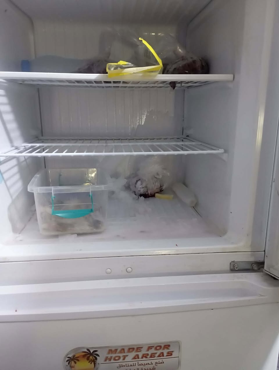 ثلاجه للبيع نظيفه جدا سعر 250 حله المركز


**إذا كنت صاحب هذا الإعلان وتريد حذفه لأي سبب، رجاءا أرسل رسالة إلى الدعم الفني**