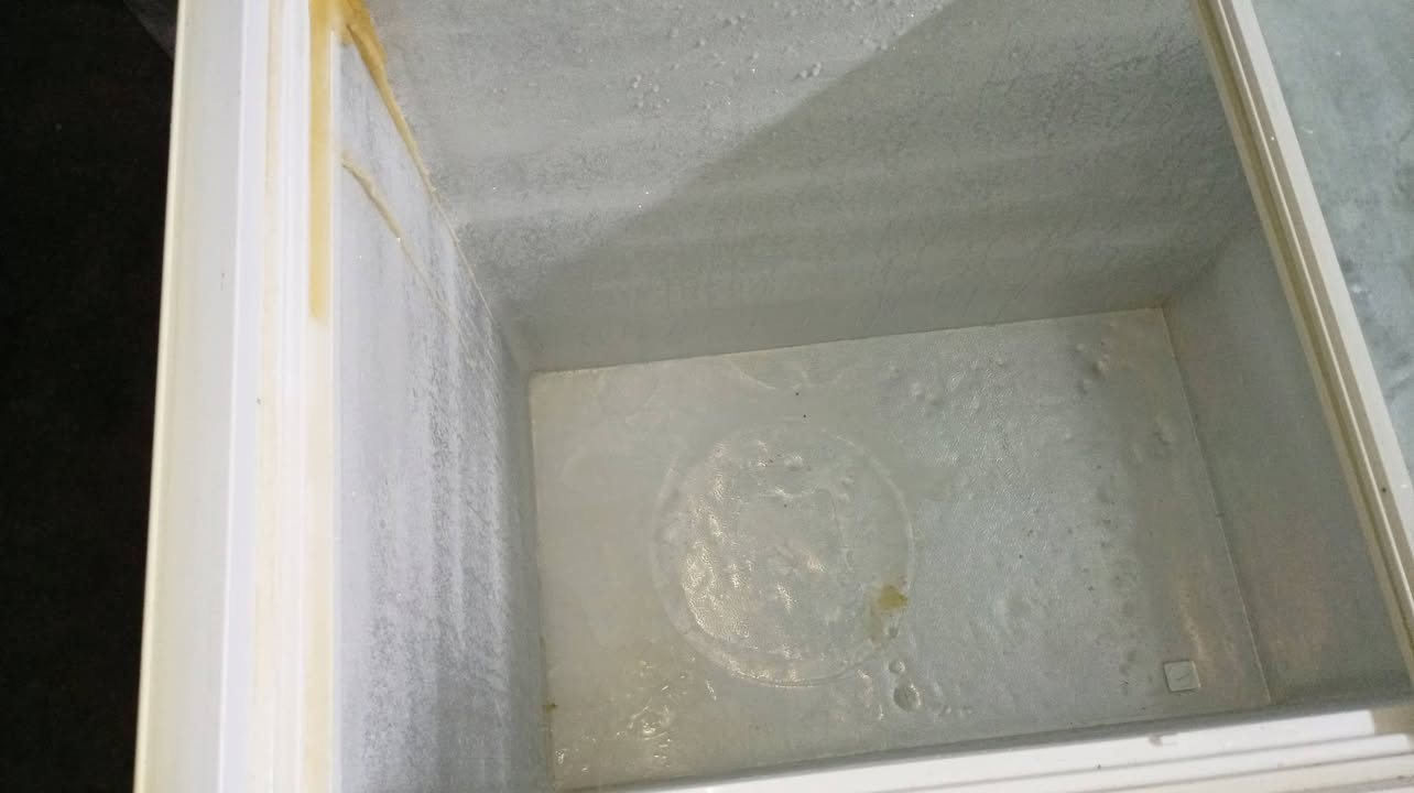 مجمده للبيع فول نظافه بلاديه السعر 175 الف وبيها مجال للشراي ***********
