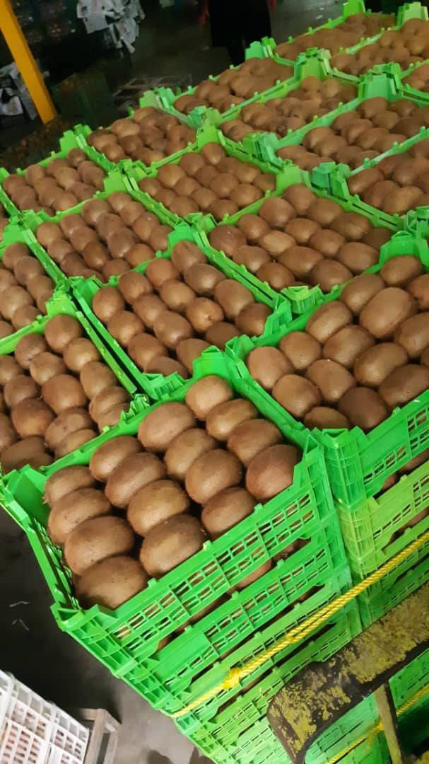 السلام عليكم
الى بكاكيل محافظة واسط الكوت بشرى سارى 
توفر زرع درجة اولر مشروط الحمار والحلا  زرع بس ايراني 
( سويت مجموعه بيها بكاكيل وتجار ومزارعين محافظة واسط https://chat.whatsapp.com/GzQWRc1RsLo5Vs3vK09P4x?mode=hq2tcla)


**إذا كنت صاحب هذا الإعلان وتريد حذفه لأي سبب، رجاءا أرسل رسالة إلى الدعم الفني**