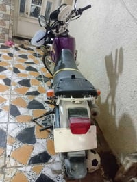 غزاله • ياباني • مكفول