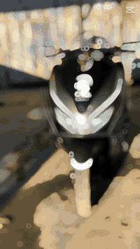 جيل ٣ ياباني • مكفولة • معدل فول