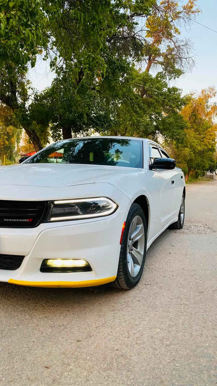 دودج تشارجر sxt ،
موديل 2016 ،
وارد امريكي كلين تايتل ،
ماشية 119m
بيها بارد مكان كلش صغير فقط ،
السيارة بلادية على وضعها اي برمجة ماكو ،
وكفالة من جميع النواحي گير،محرك،كهربائيات كله بشرط ، عليها ادامة كاملة ، حتى بوليش مشتغلها .

*حدادية صدر جديدة
*تايرات جدد
*باتري جديد
*بلكات وكالة
*دسكات امامي خلفي اصليات 
* منضومة زنون كاملة كلفتني 400$
*القاعدة وفيت بم ، المساعد كلة جديد واصلي شرط .

السيارة نضيفة ومتعوب ومصروف عليها يشهد الله مال جناي ، وبالعافية على ياخذها .
 
مكان السيارة  ديالى بعقوبة
هذا رقمي *********** لمعرفة السعر راسلني خاص او واتساب عندك استفسار اني حاضر 

تحياتي للجميع

