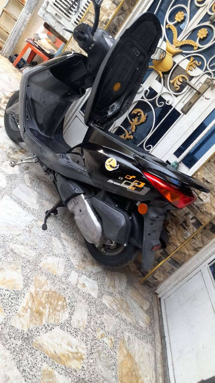 بريز بغبغاء رمبة ووراق مزاد للمراوس ب سبيسي شرط زيرو وكالة
***********
