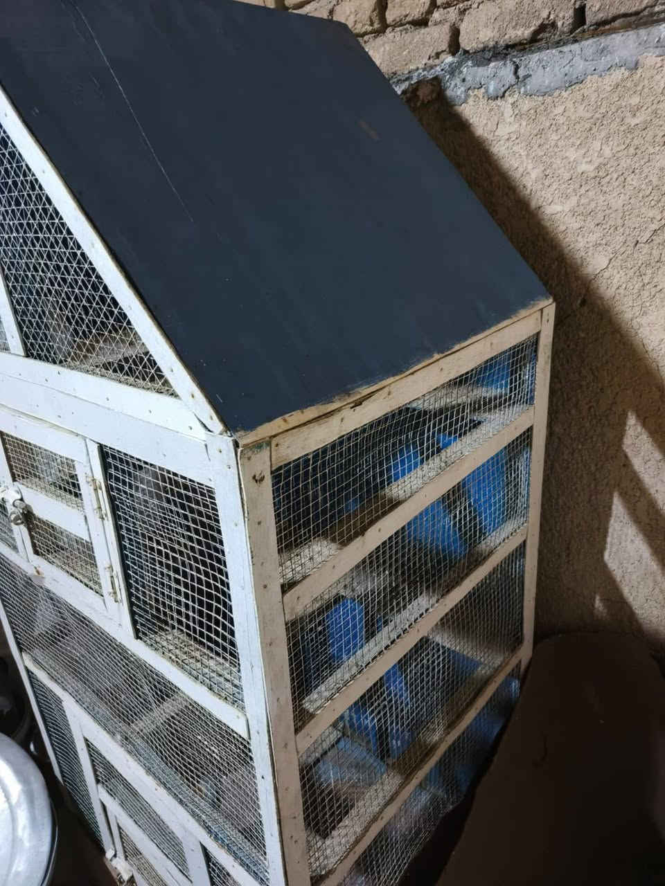 سلام عليكم جميعا هذه القفص معروض للبيع                                                                            اني مكلف بل النشر صاحب القفص هذه رقمه *********** كربلاء المقدسه
