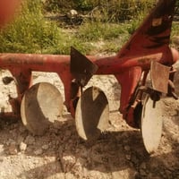 ديسك تركي • استبرق اصلي • الموصل