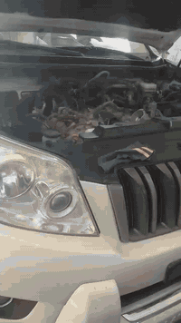 اسطه عامر بخدمتكم اتصل وماقصر وياك *********** العنوان الرمادي التاميم
