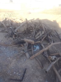 خشب لبيع  07874241474