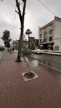 حي البلديات • دار تجاري • ٢٧١م