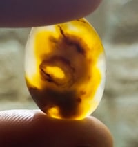 متفرقات • وصف ناقص